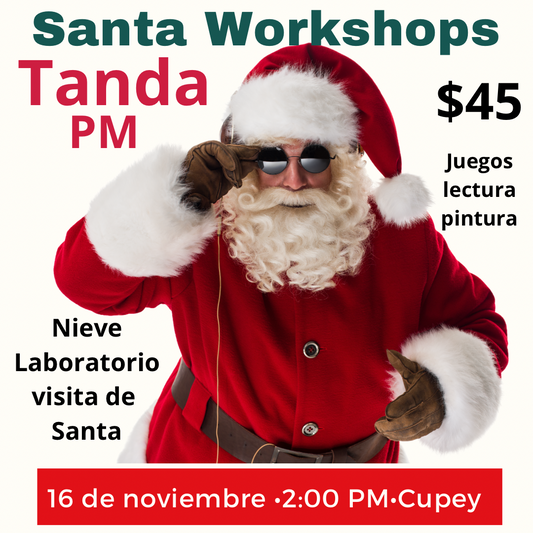 Santa Workshops PM